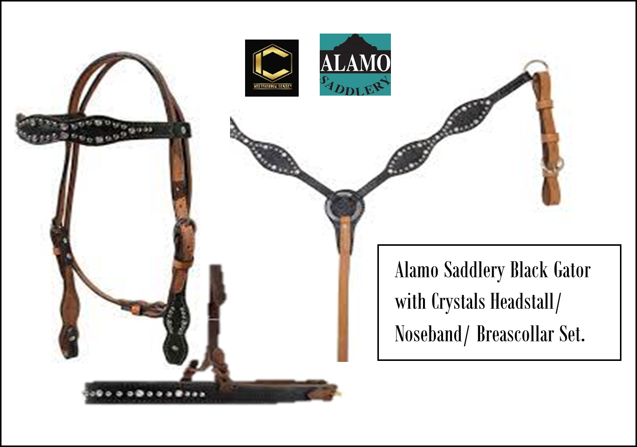 Alamo Saddlery Black Gator HS/NB/BC Set