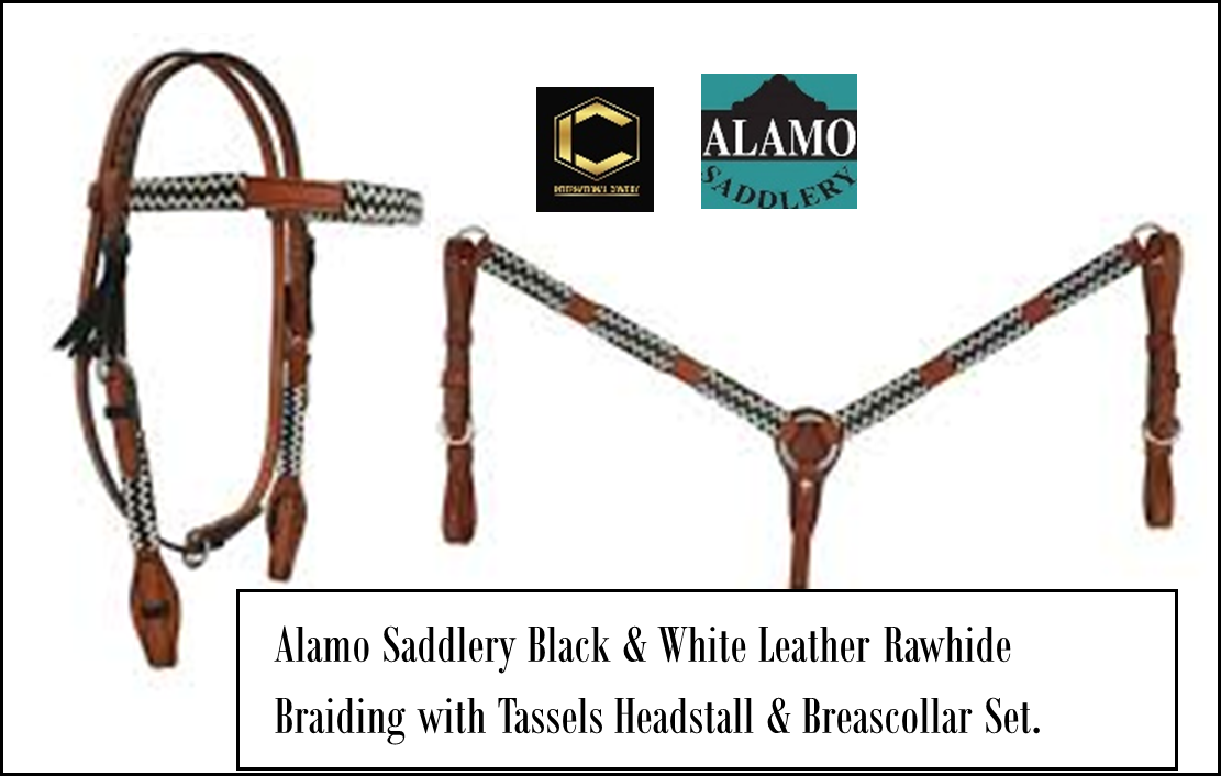 Alamo Saddlery Rawhid HS/BC Set