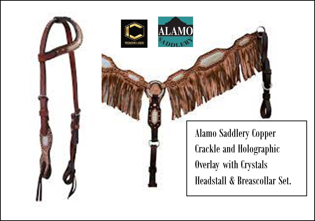Alamo Saddlery Copper HS/BC Set