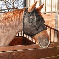 Magnetix Equine Therapy