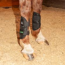 Magnetix Equine Therapy