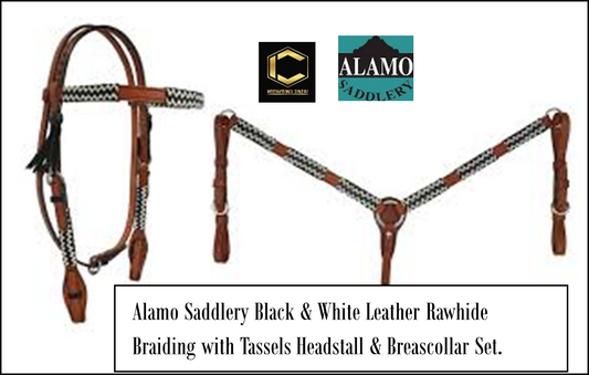 Alamo Saddlery Rawhid HS/BC Set