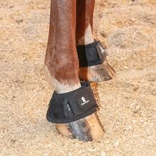 Magnetix Equine Therapy