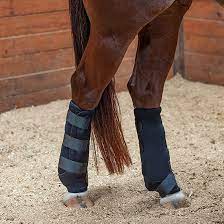 Classic Equine Ice Boots